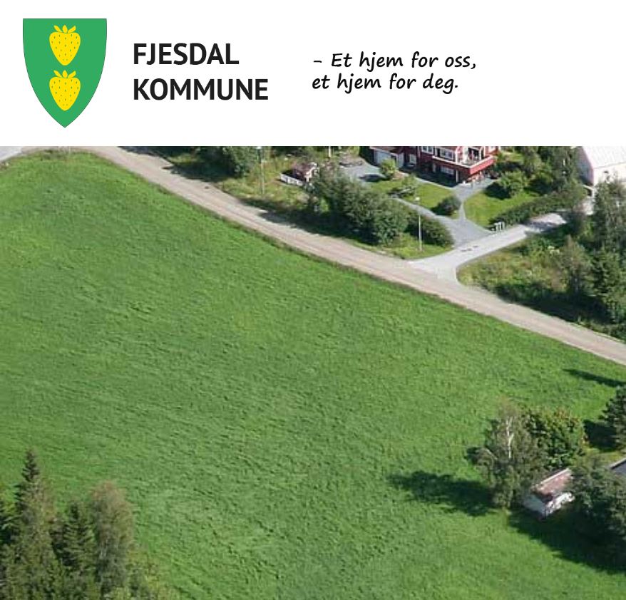 Fjesdal Kommune