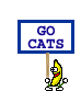 Go Cats — a dancing banana meme