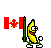 Canada — a dancing banana meme